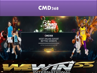 CMD368 - Wewin55