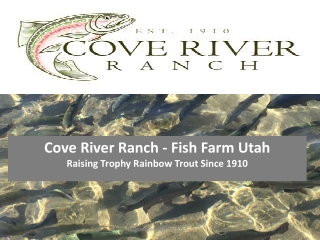 Cove River Ranch - Fish Farm Utah