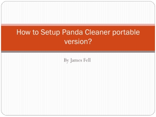 How to Setup Panda Cleaner portable version?