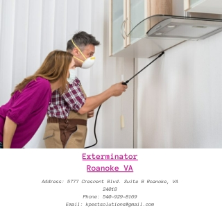 Exterminator Roanoke VA | Killinger Pest Solutions