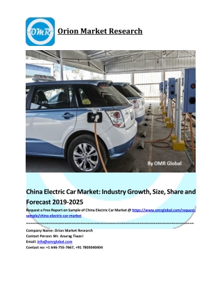 China Electric Car Market Size, Share, Analysis, Industry Report and Forecast to 2025