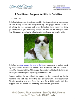 4 Best Breed Puppies for Kids in Delhi Ncr