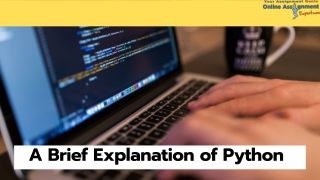 A brief explanation of python