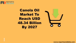 Canola oil market insight 2020
