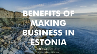 Benefits of Making Business in Estonia| Buy & Sell Business