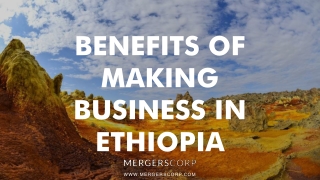 Benefits of Making Business in Ethiopia | Buy & Sell Business