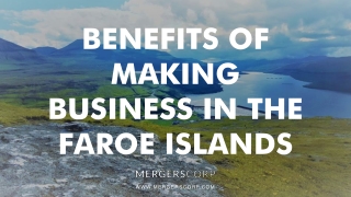 Benefits of Making Business in Faroe Island | Buy & Sell Business