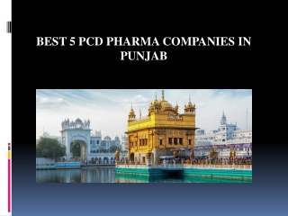 Best 5 PCD Pharma Companies in Punjab