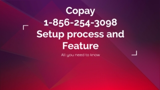 Copay wallet 1-856-254-3098 Setting process and Feature
