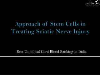 Approach of Stem Cells in Treating Sciatic Nerve Injury