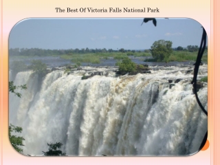 The Best Of Victoria Falls National Park