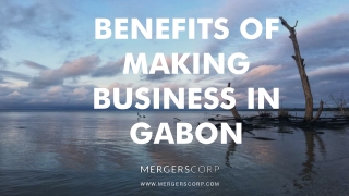 Benefits of Making Business in Gabon | Buy & Sell Business