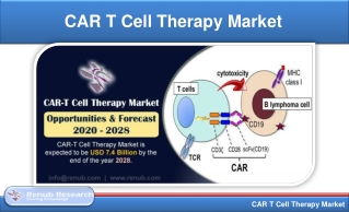 CAR T Cell Therapy Market Global Forecast by Regions & Targeted Antigens