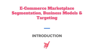 E-commerce Marketplace Segmentation: Introduction