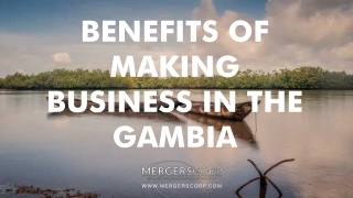 Benefits of Making Business in Gambia | Buy & Sell Business