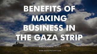 Benefits of Making Business in Gaza Strip | Buy & Sell Business