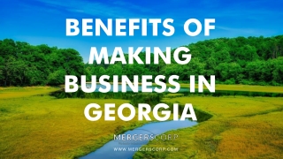 Benefits of Making Business in Georgia | Buy & Sell Business