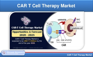 Car t cell therapy market - Renub Research