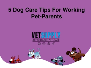 5 Dog Care Tips For Working Pet-Parents