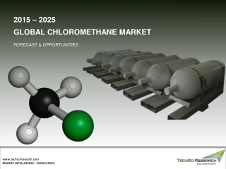 Chloromethane Market Size 2025