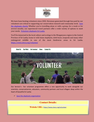 What Elephants Can Teach Us About Success