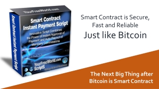 Smart Contract Instant Payment Script