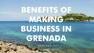 Benefits of Making Business in Grenada | Buy & Sell Business