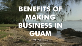 Benefits of Making Business in Guam | Buy & Sell Business