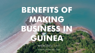 Benefits of Making Business in Guinea | Buy & Sell Business