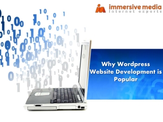 Why Wordpress Website Development is Popular