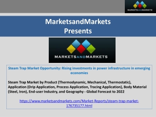 Steam Trap Market Opportunity: Rising investments in power infrastructure in emerging economies