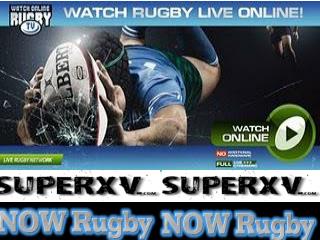 watch super rugby online free