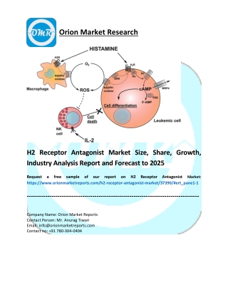 H2 Receptor Antagonist Market