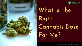 What Is The Right Cannabis Dose For Me?