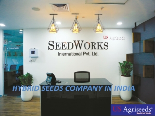 Hybrid Seeds Company in India