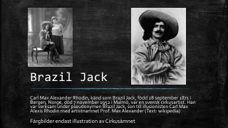 Brazil Jack