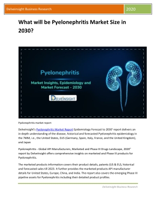 How will pyelonephritis Market Share increase in 2030?
