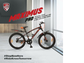 Best Road Bikes