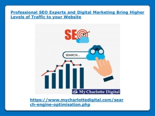 Professional SEO Experts and Digital Marketing Bring Higher Levels of Traffic to your Website