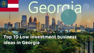 Top 10 Low investment business ideas in Georgia, United States