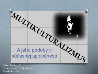 MULTIKULTURALIZMUS