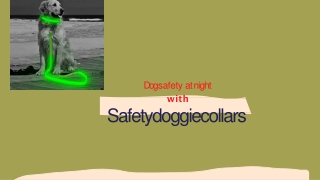 When flashing dog collar night safety need?