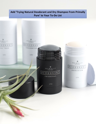 Add ‘Trying Natural Deodorant and Dry Shampoo From Primally Pure’ to Your To-Do List