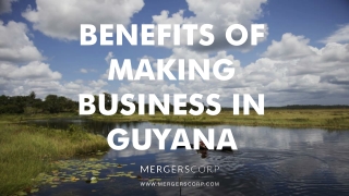 Benefits of Making Business in Guyana | Buy & Sell Business