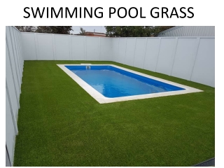 Best Swimming Pool Grass Dubai