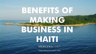 Benefits of Making Business in Haiti | Buy & Sell Business