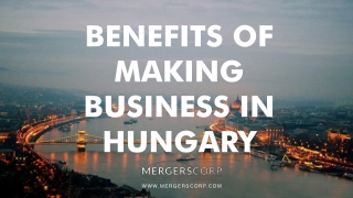 Benefits of Making Business in Hungary | Buy & Sell Business