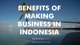 Benefits of Making Business in Indonesia | Buy & Sell Business