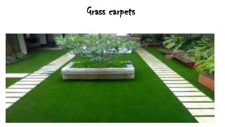 Grass carpets Abu Dhabi