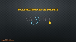 Full Spectrum CBD Oil for Pets